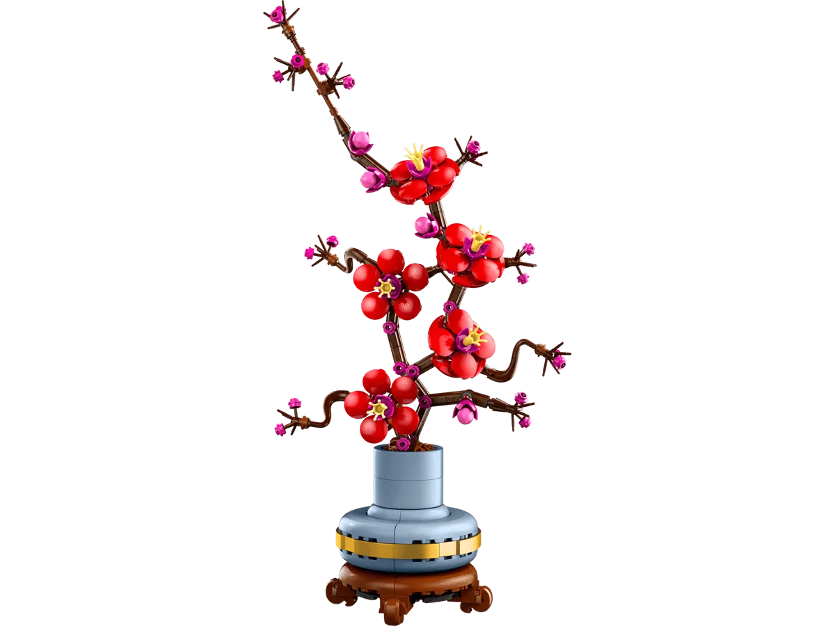 Plum Blossom (10369)
