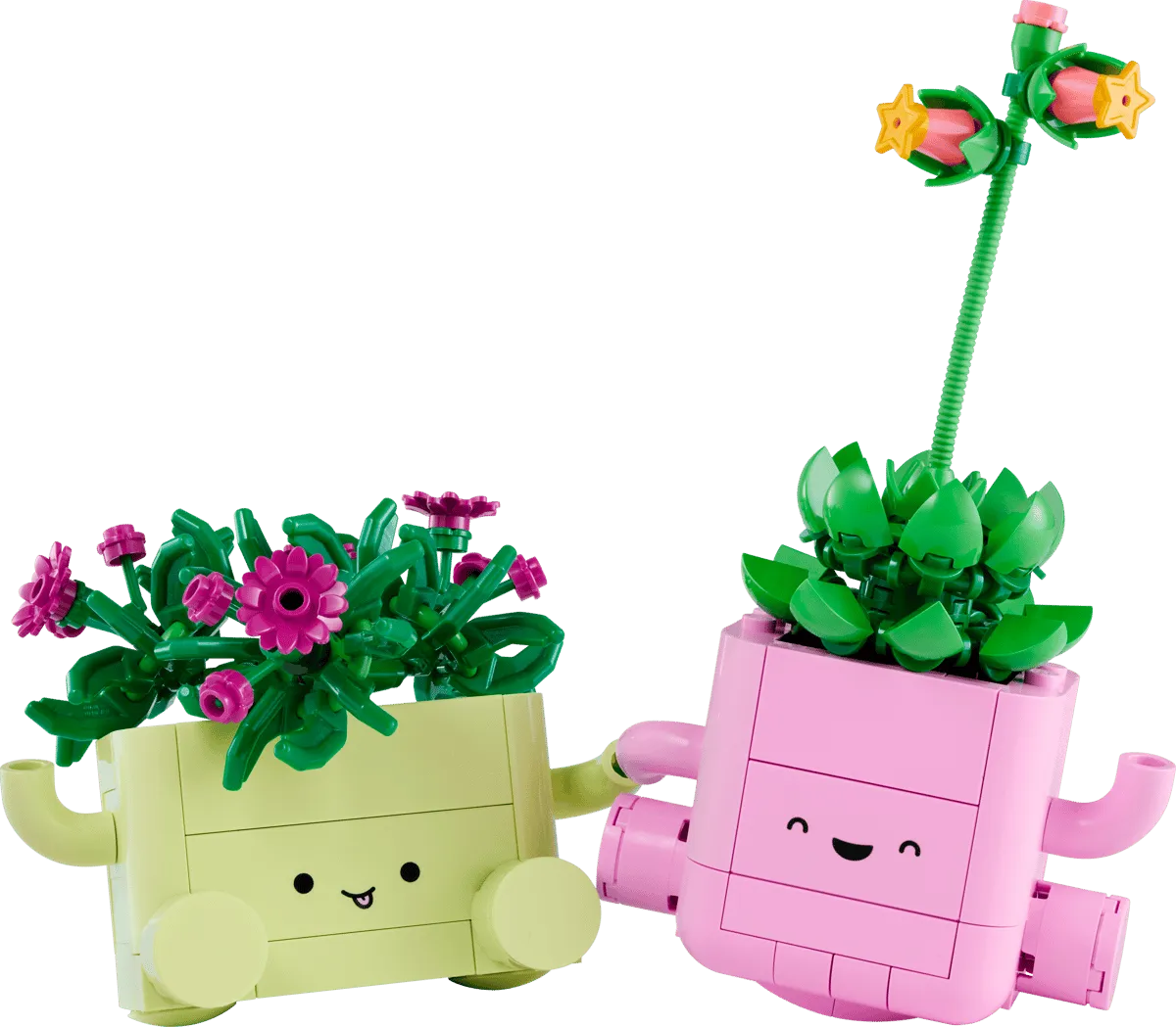 Rocking Plants (11506)