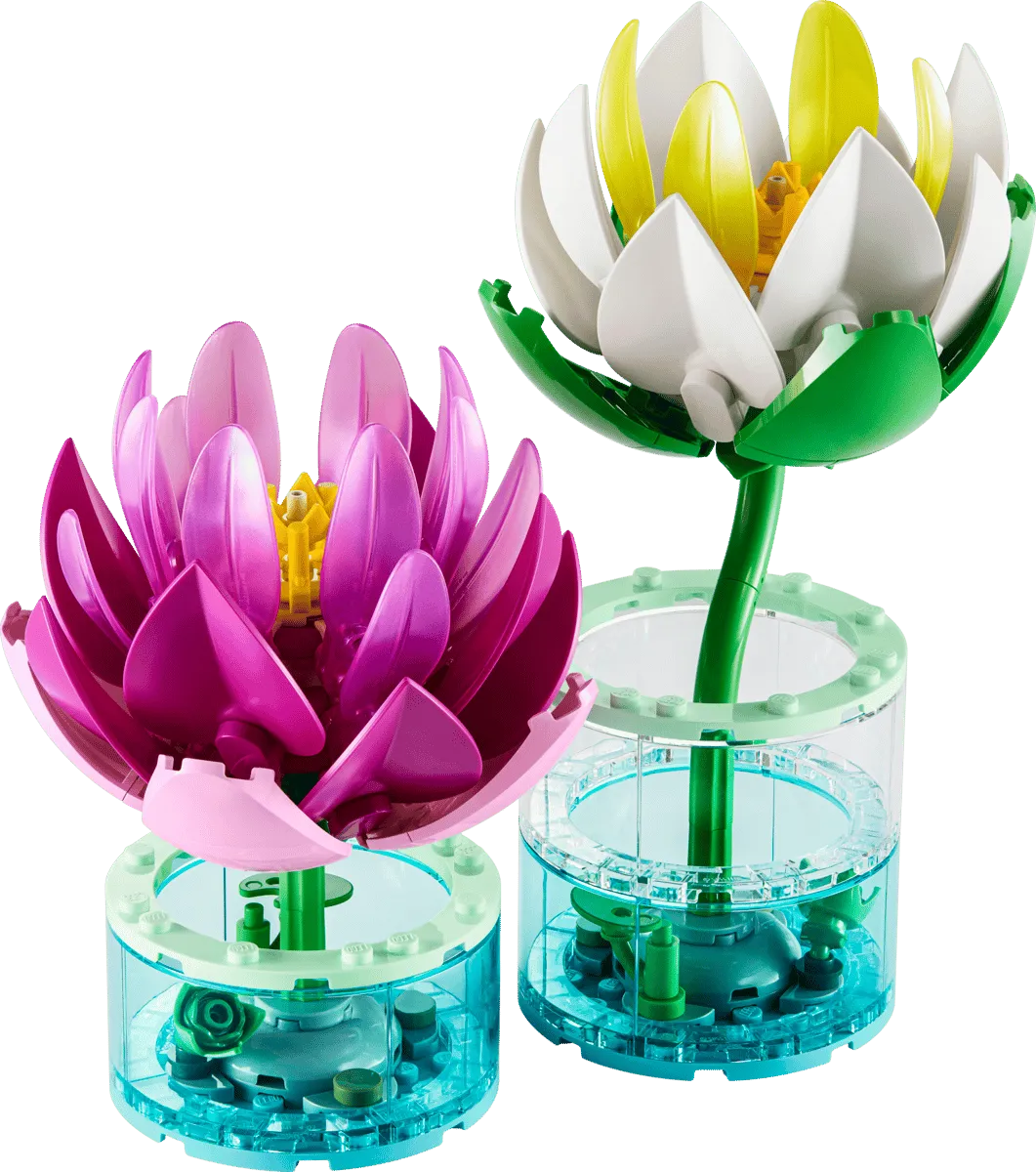 Water Lilies (11511) Water Lilies (11511)