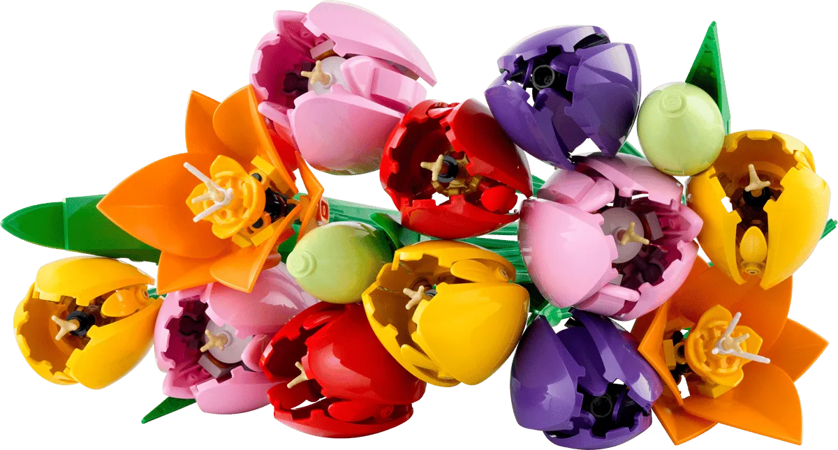 Tulip Bouquet (11501) Tulip Bouquet (11501)