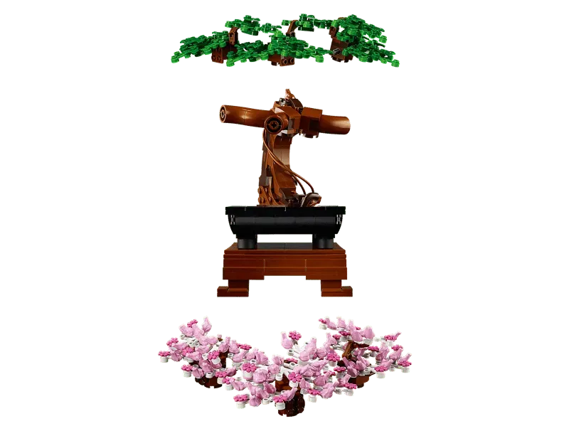 Bonsai tree exploded view.