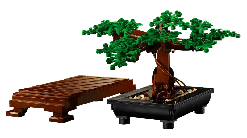Bonsai pot and stand separated.