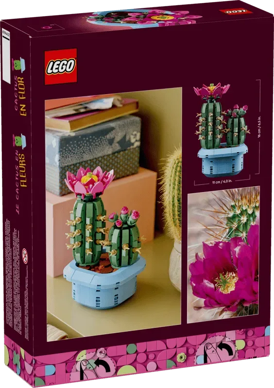 LEGO Flowering Cactus 11509 box back.