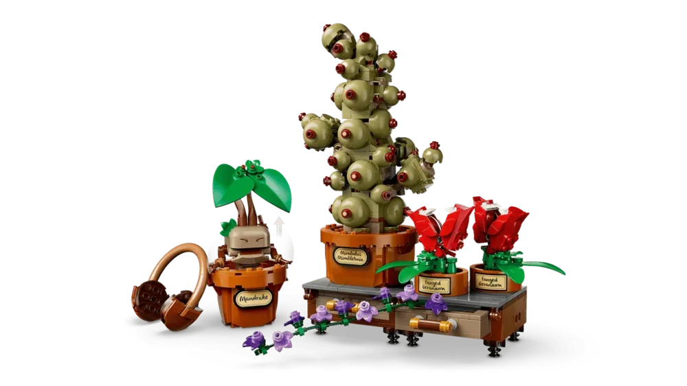 Complete set with accessories.