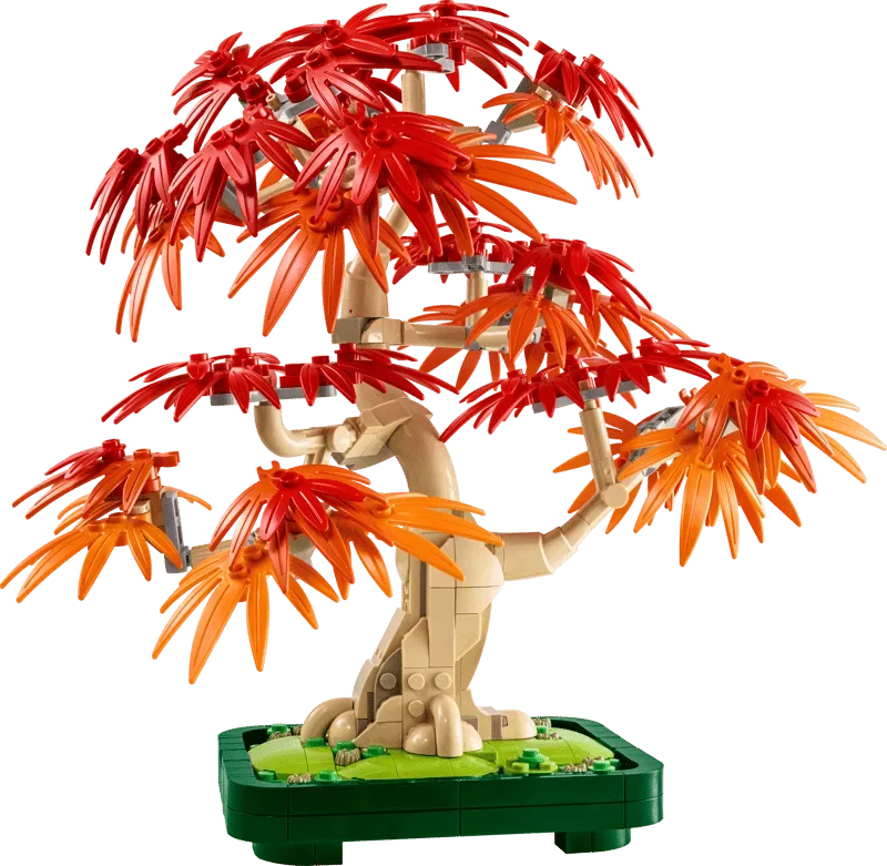 Assembled LEGO Japanese Red Maple Tree with red leaves.