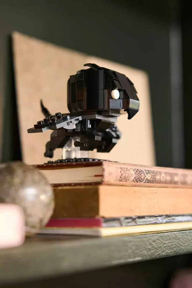 Thestral on books.