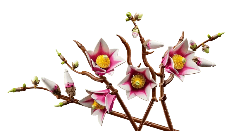 Dynamic angle of Magnolia Branches.