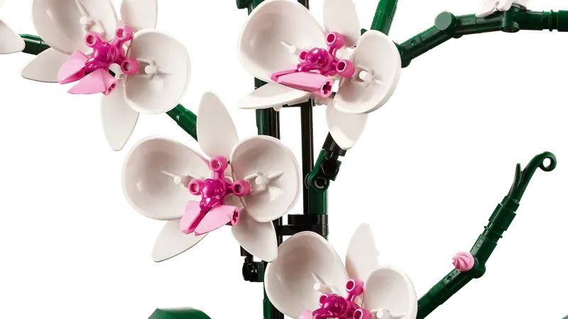 Close-up of LEGO Orchid flowers.