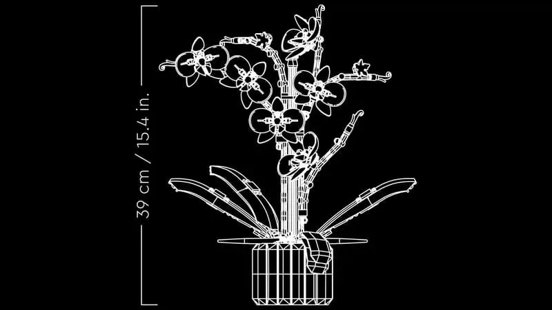 LEGO Orchid 10311 dimensions blueprint.
