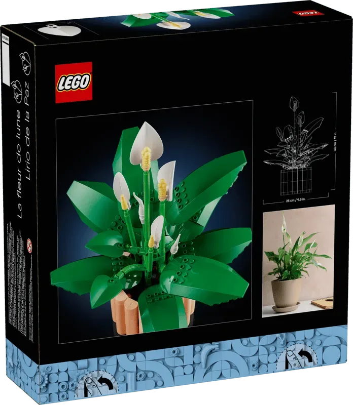 Back box art of LEGO Peace Lily.