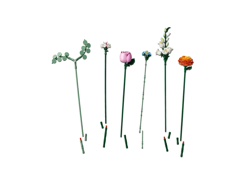 Flowers with stems.
