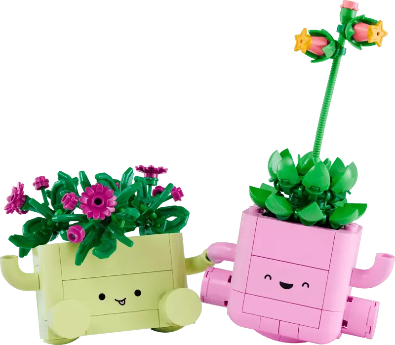 Meet the Rocking Plants