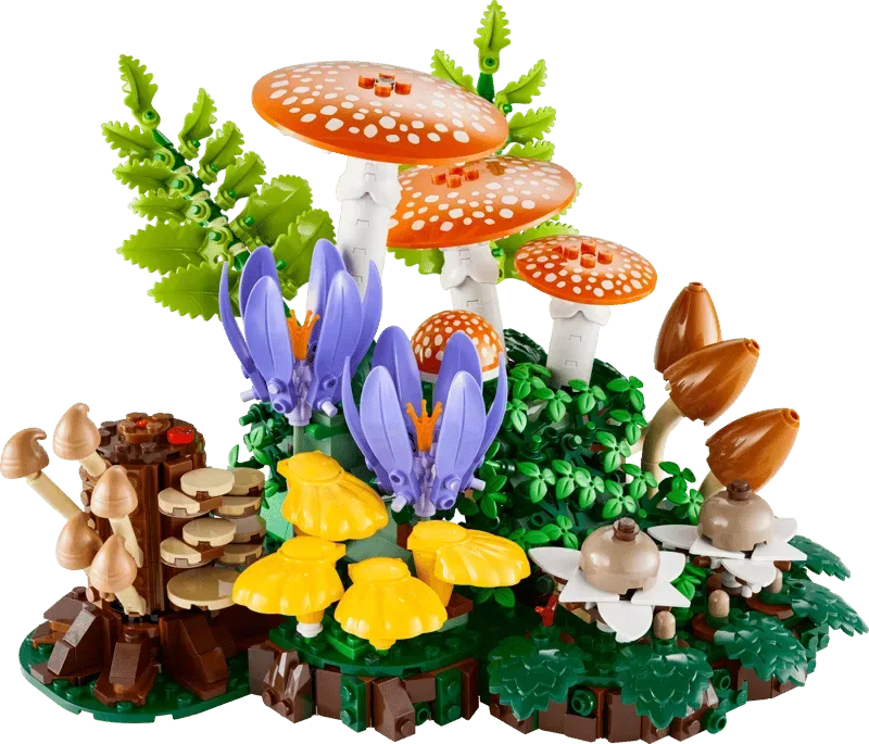 Assembled Woodland Mushrooms.