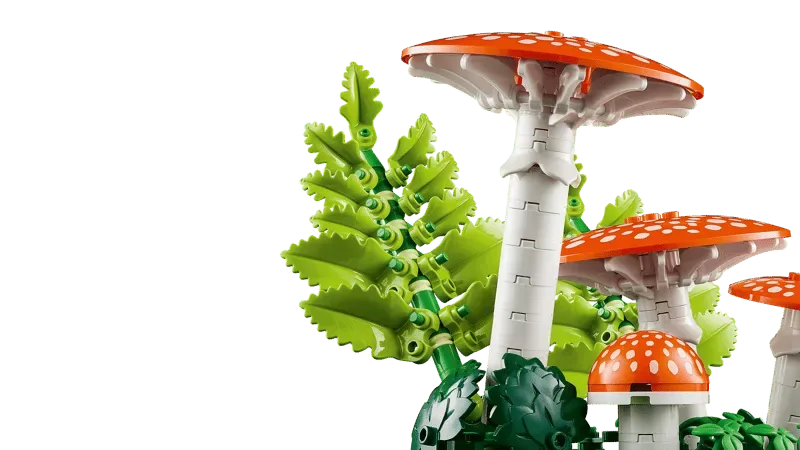 Fly Agaric stems and ferns.
