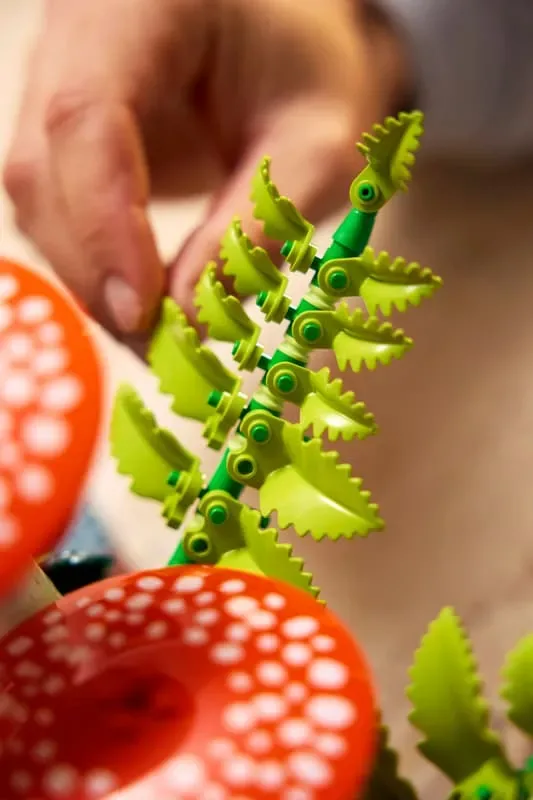 Hand holding fern piece.