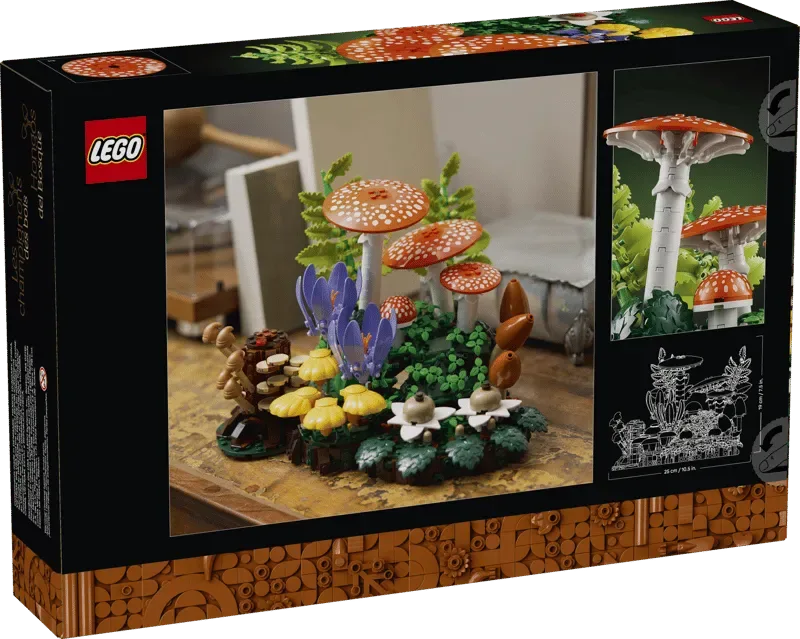 Back of box, lifestyle display.