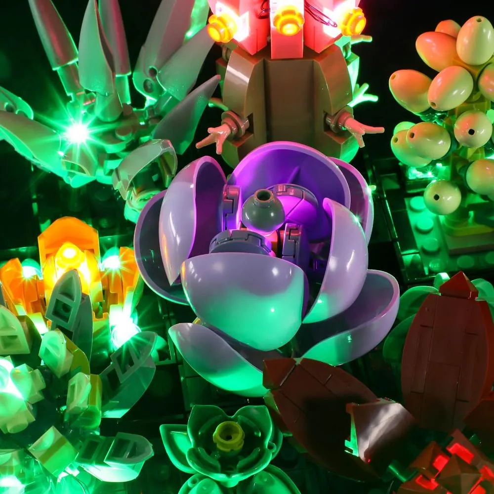 Lightailing Succulents 10309 single edition lighting