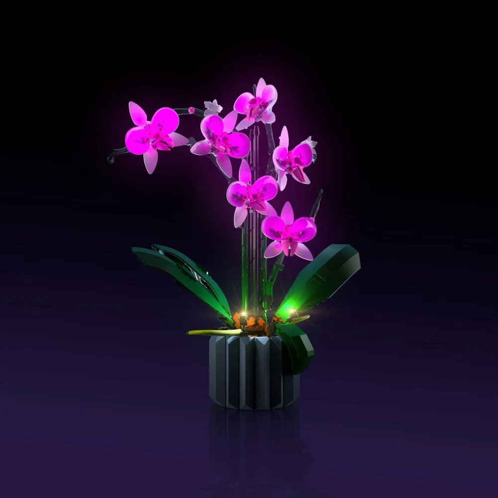 LightMyBricks LED kit for LEGO Orchid 10311 with premium lighting features