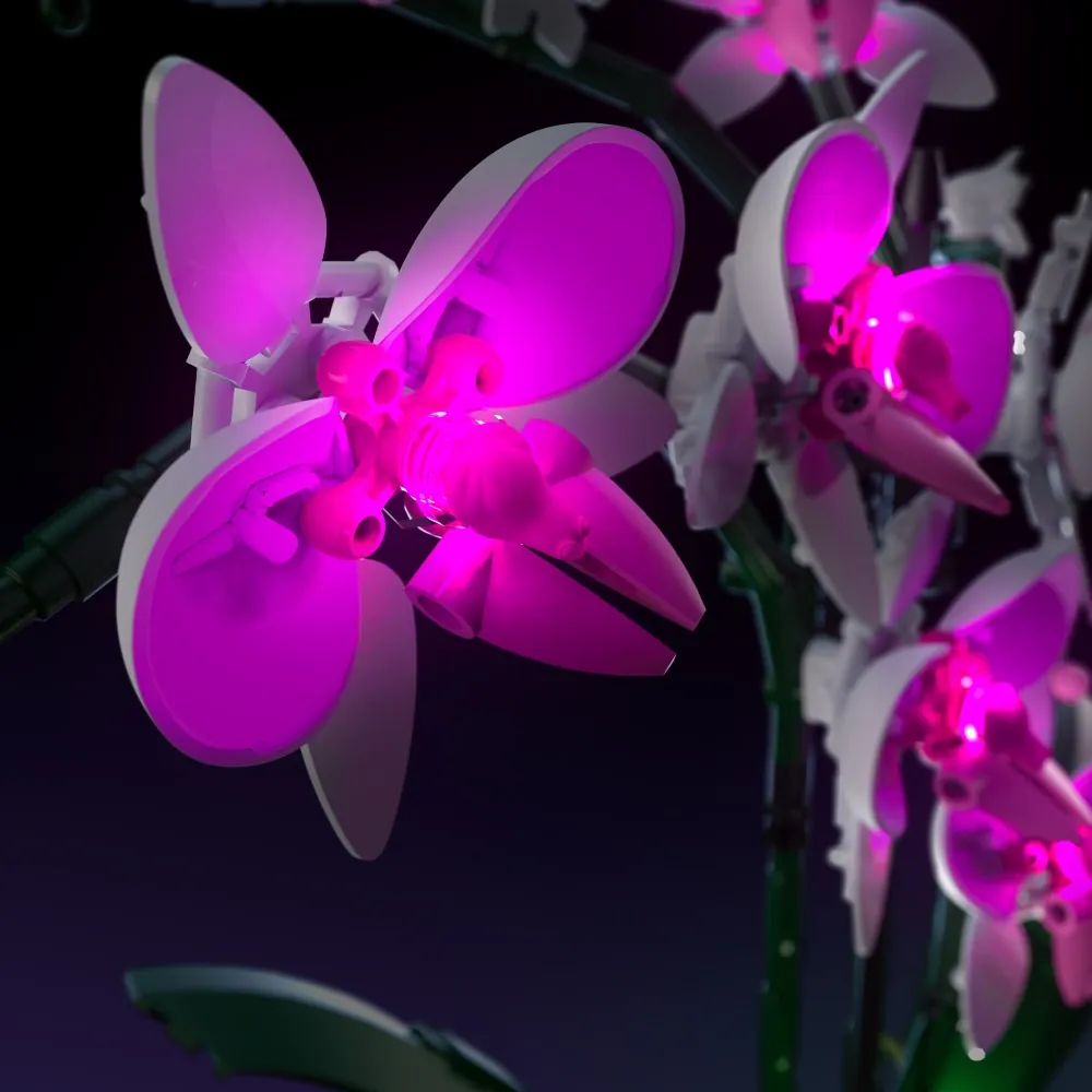 Gallery preview