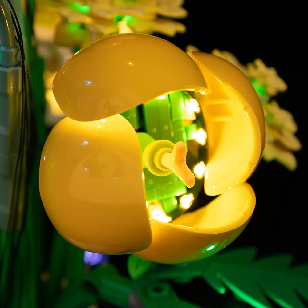 Game of Bricks lit LEGO 10347 in botanical display