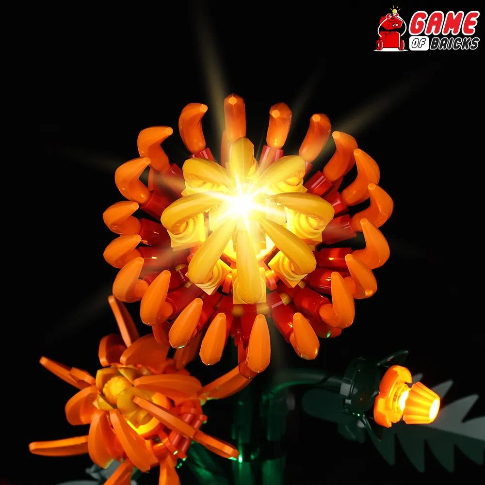 Game of Bricks lighting on Chrysanthemum petals