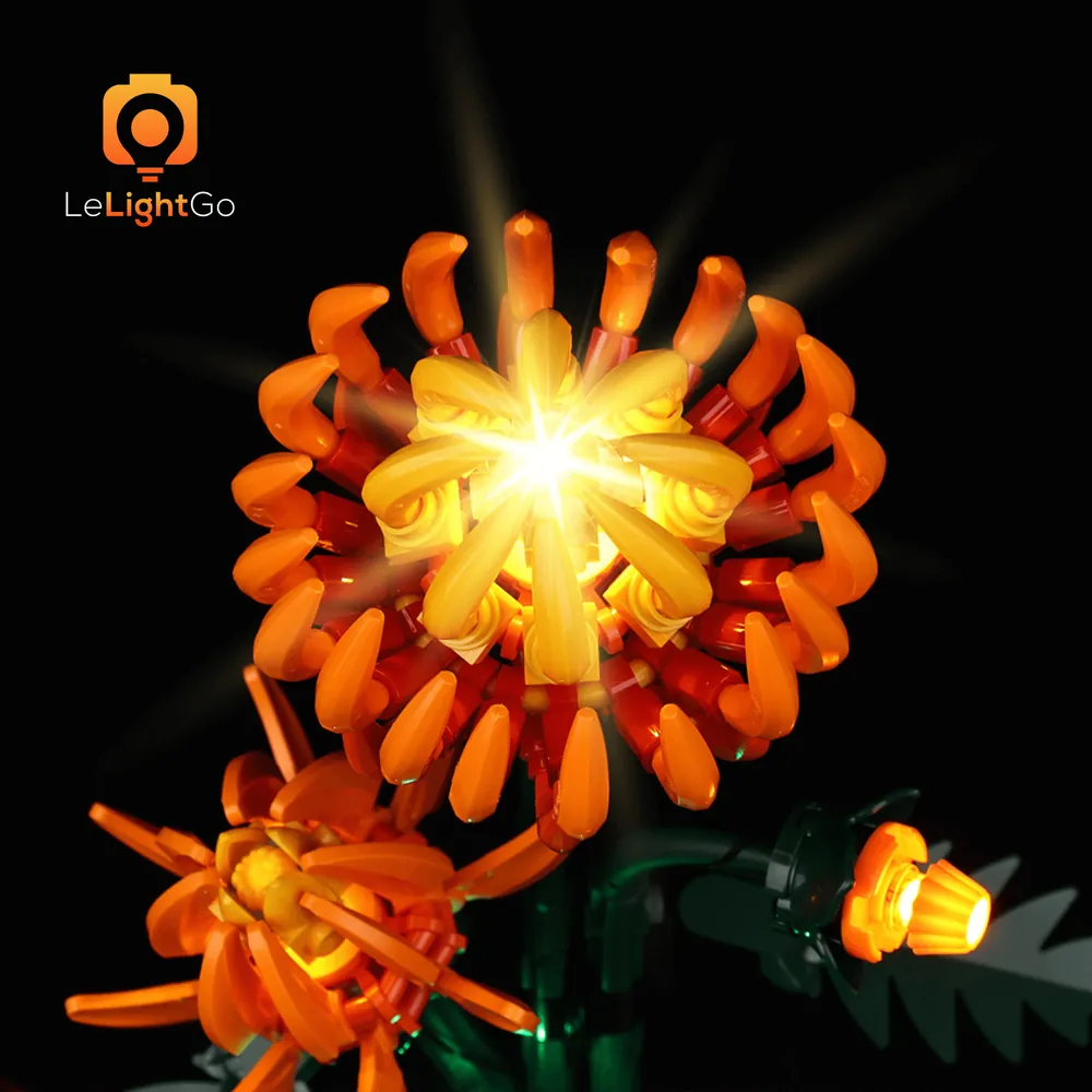 LeLightGo lighting inside the Chrysanthemum pot