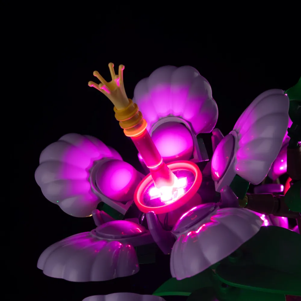 LED modules and expansion boards from Game of Bricks for Hibiscus set