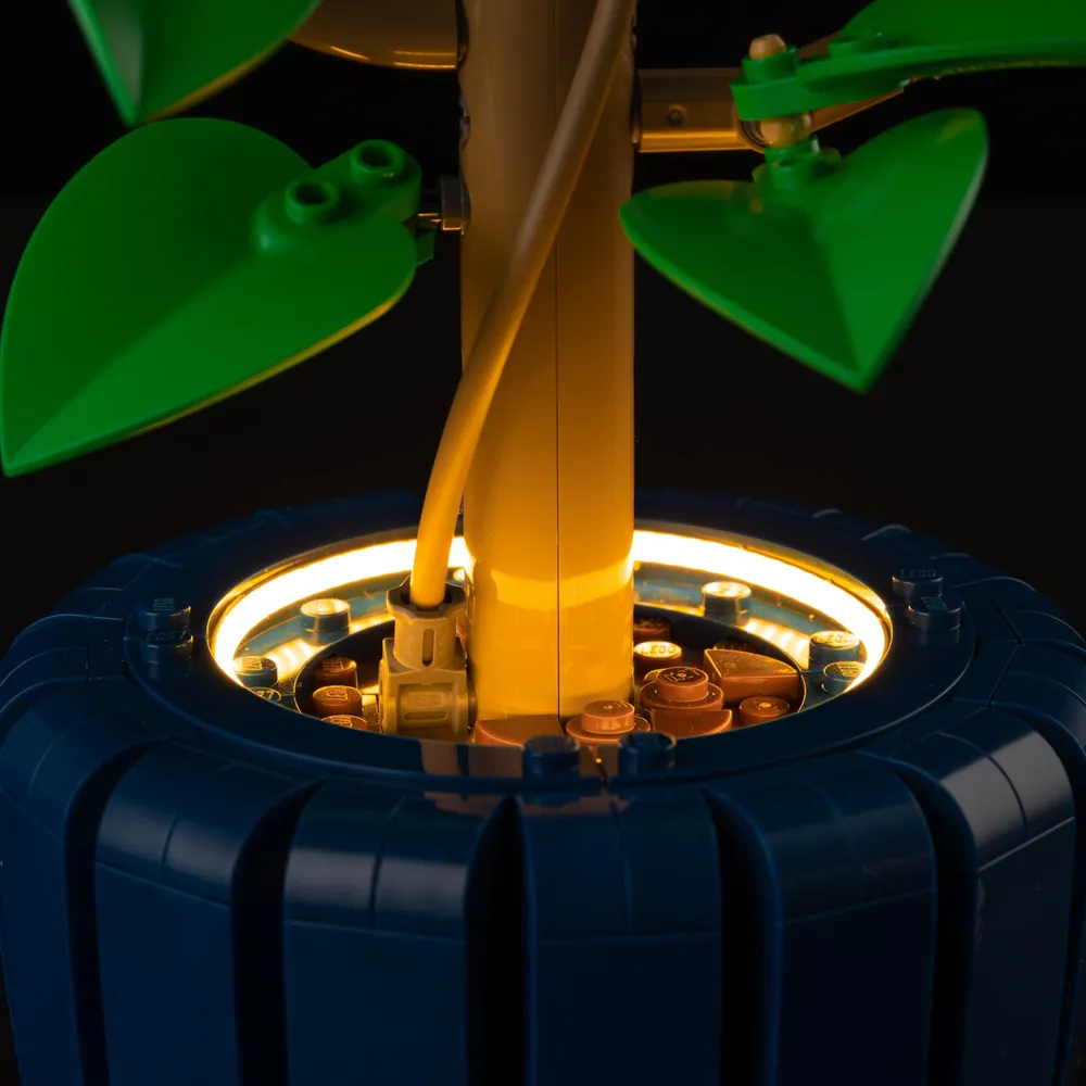 Game of Bricks lighting highlighting Hibiscus pot and bloom