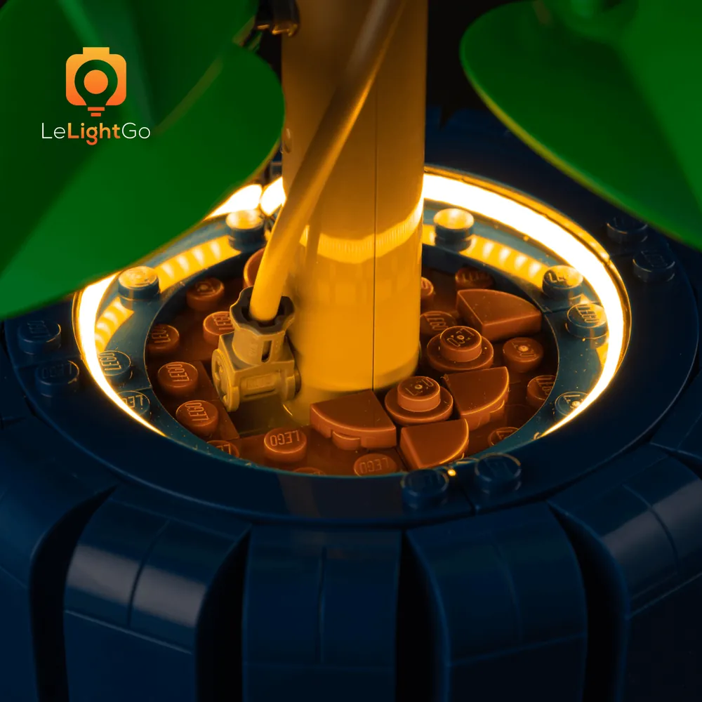 LeLightGo light kit enhancing the overall botanical display