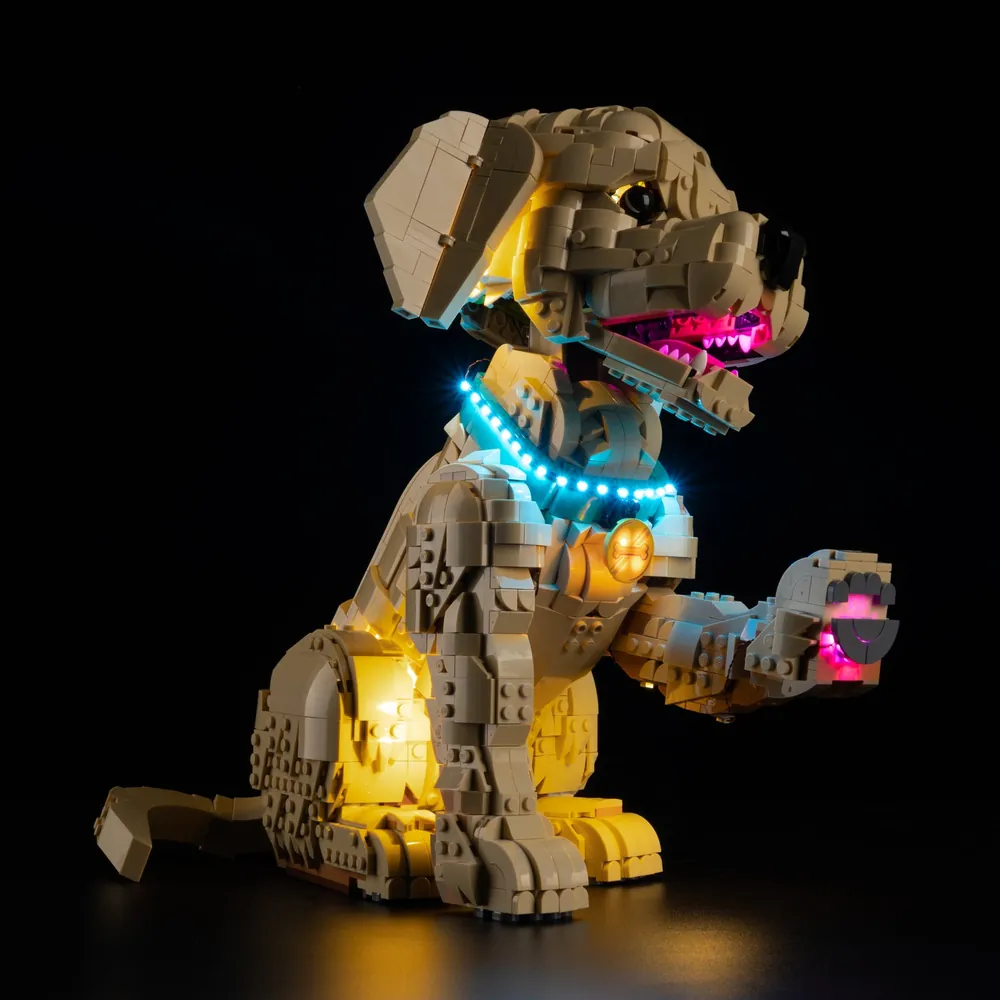 Game of Bricks lighting the puppy's expressive features