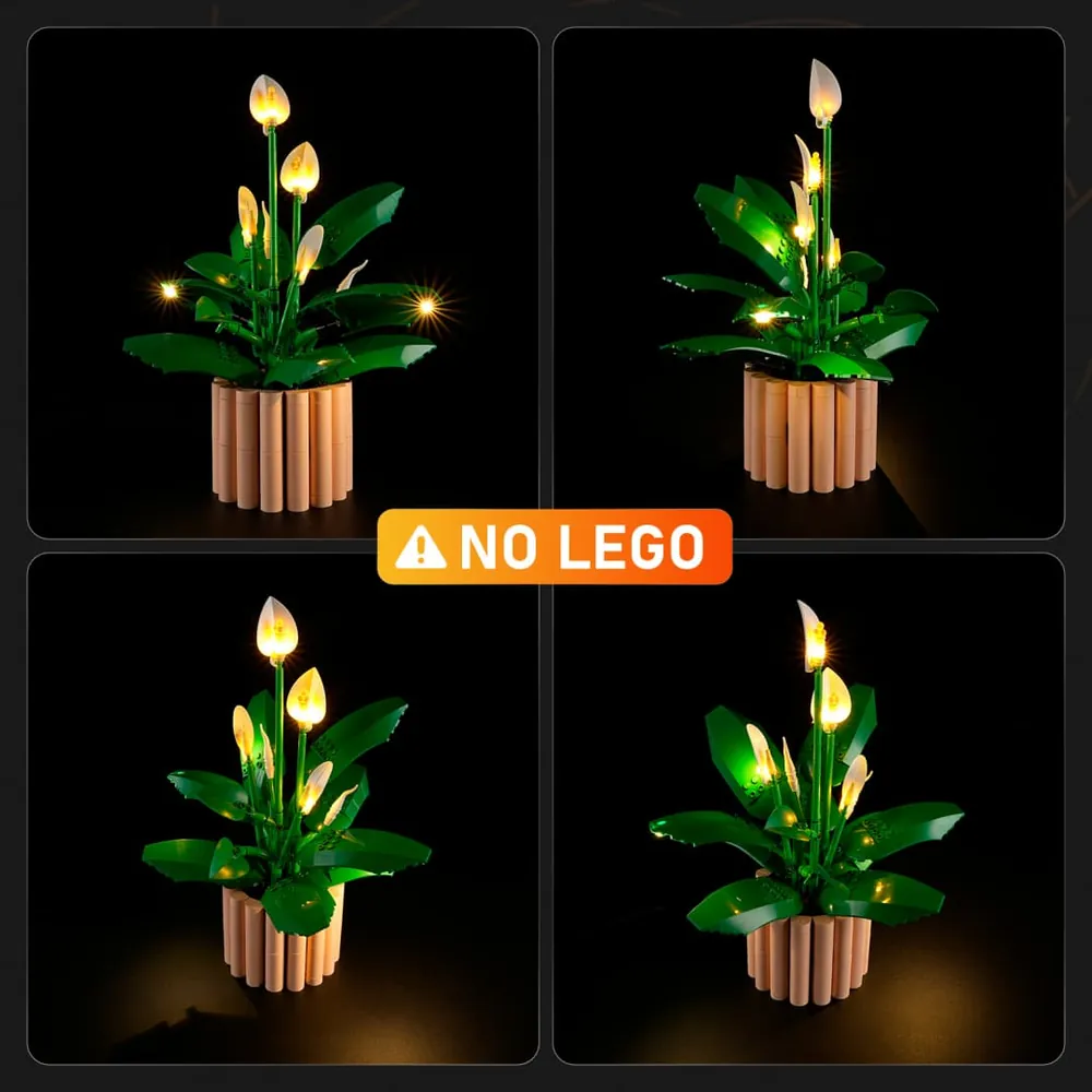 Gallery preview