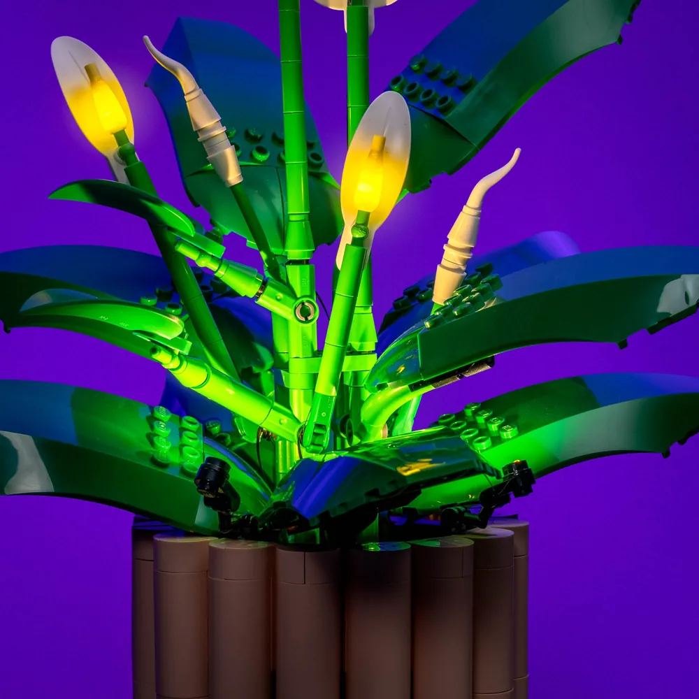 Gallery preview