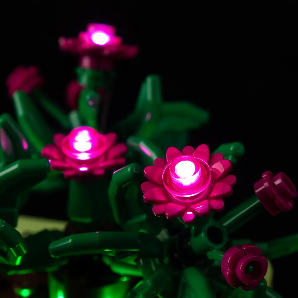 Game of Bricks wiring detail on the back of LEGO Rocking Plants