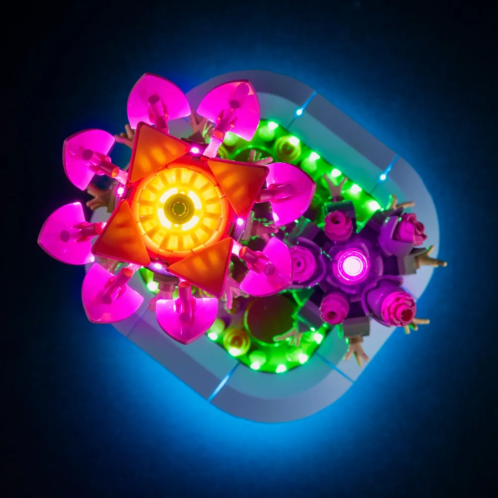 Game of Bricks lit cactus with flowers in dark room