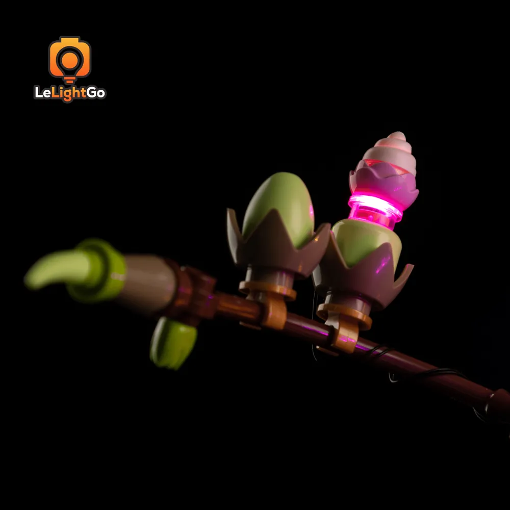 LeLightGo installation on Magnolia Branches 11510