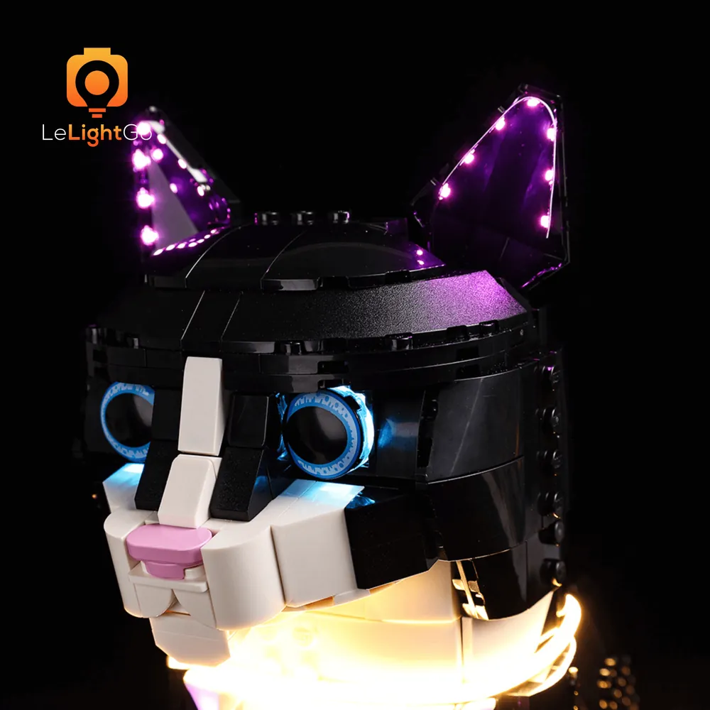 LeLightGo lighting emphasizing the cat's facial features