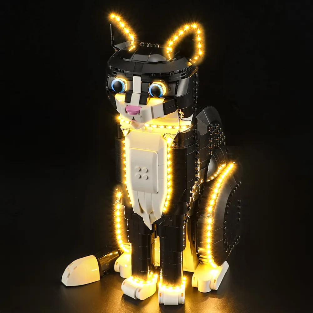 Lightailing harness integration on the cat's base