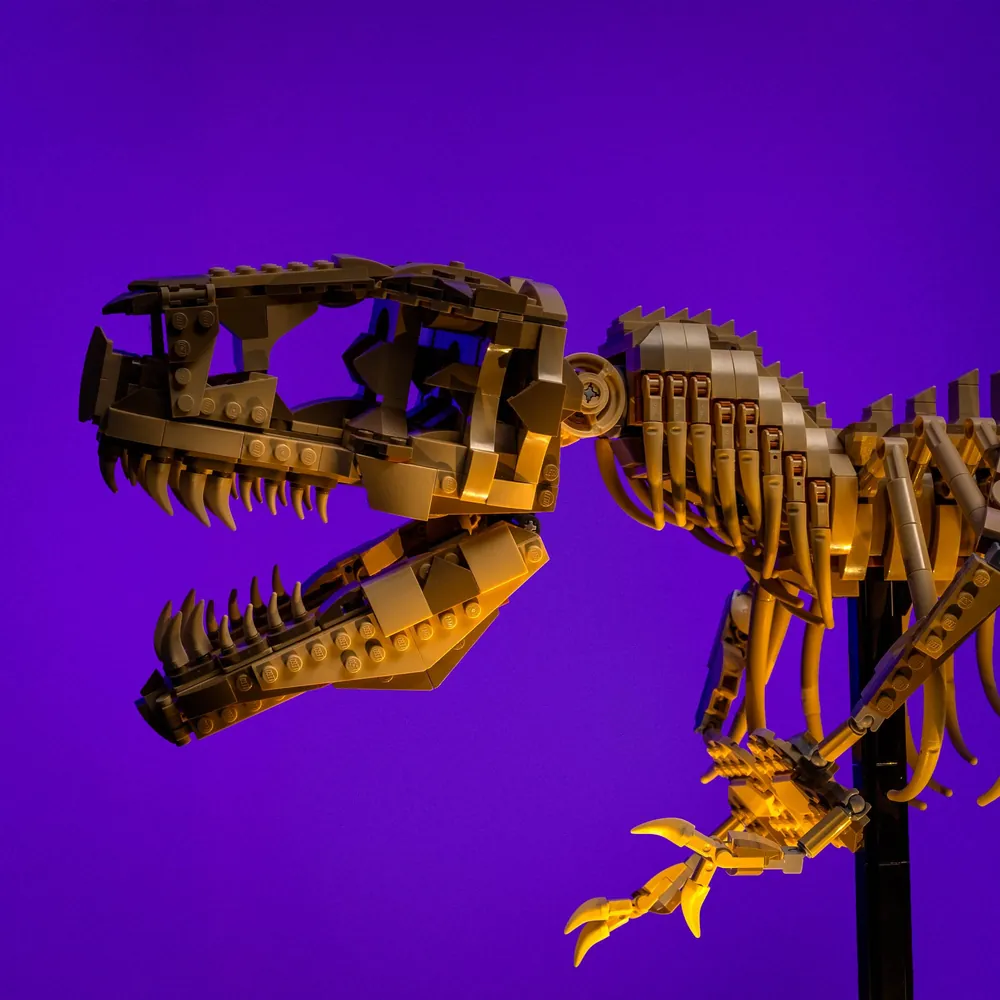 Full skeleton illumination by LightMyBricks for LEGO 76968