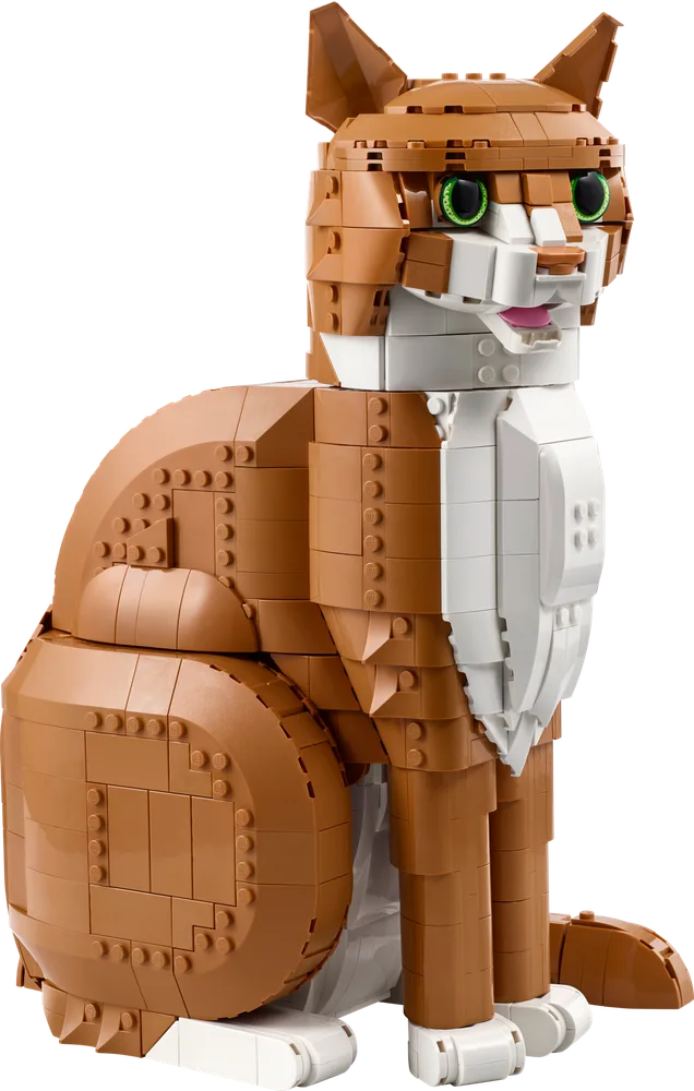 Orange Cat 21376 image 1
