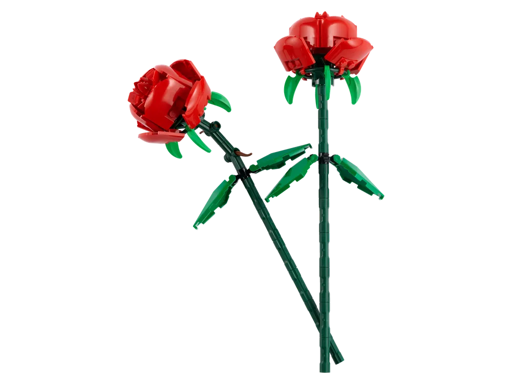 Two vibrant red LEGO roses, one leaning slightly, stand against a pure white background, showcasing their intricate green stems and leaves.