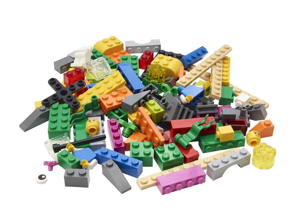 LEGO Window Exploration Bag 2000409