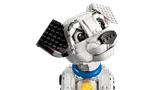 Dalmatian puppy head close-up