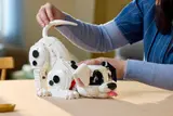Adjusting puppy's tail