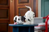 Puppy on blue table display