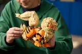 Holding the LEGO Arcanine model