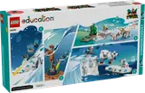 Back of LEGO Arctic Animals Science Kit box with experiments.