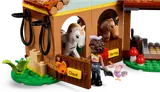 Close-up of horse stalls with Aliya.