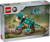 Displaying the Build