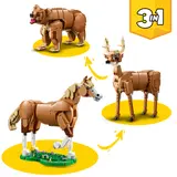 LEGO Creator 3in1 alternate animal builds.
