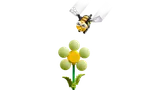 Bumblebee and flower detail.